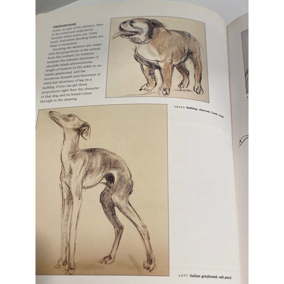 An Introduction to Drawing Animals by Kay Gallwey - Picture 6 of 10
